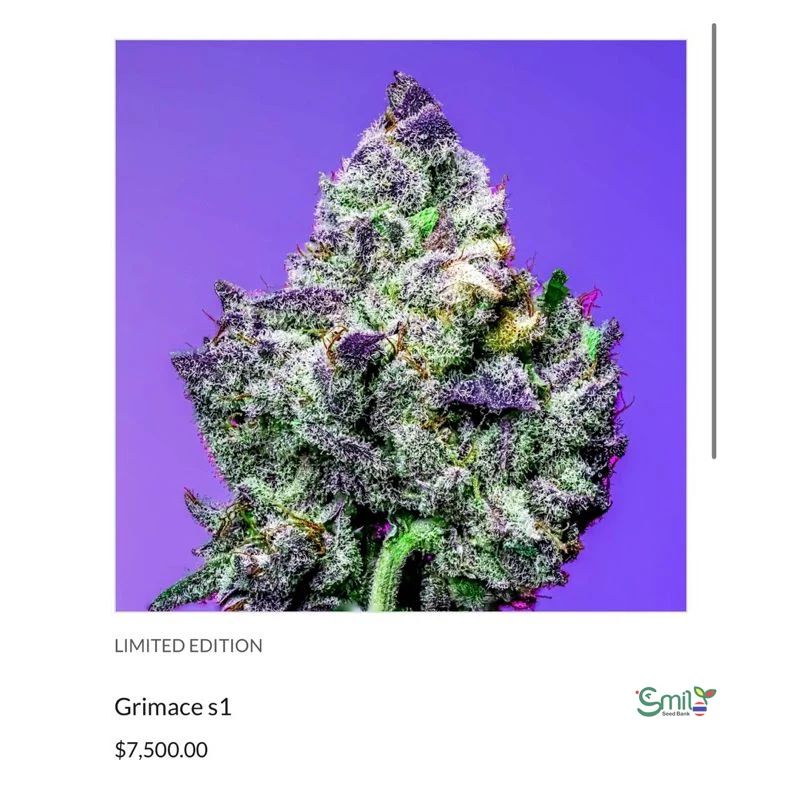 Grimace S1 — 3