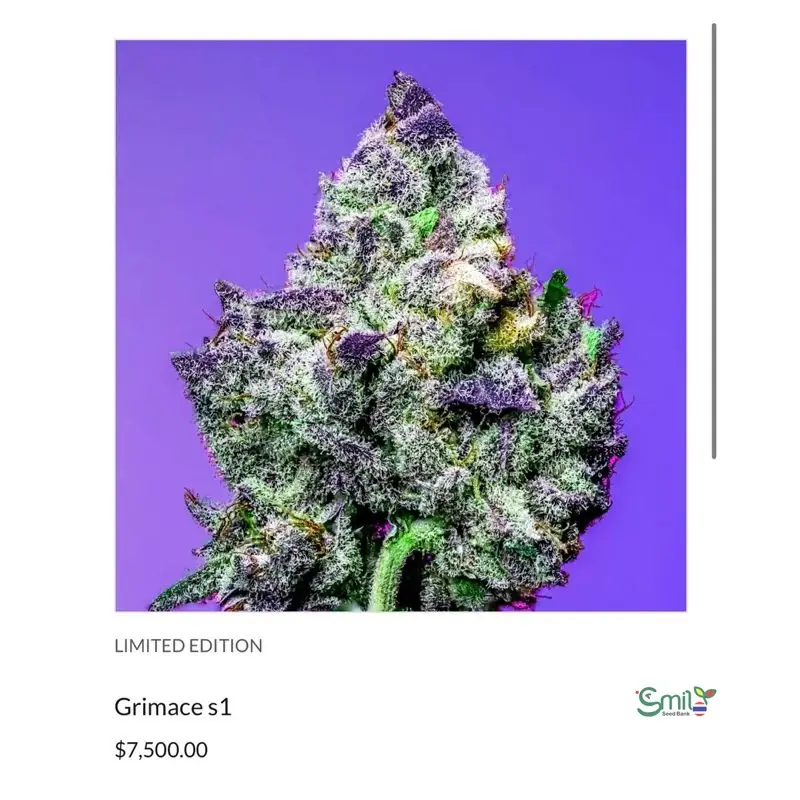 Grimace S1 — 3