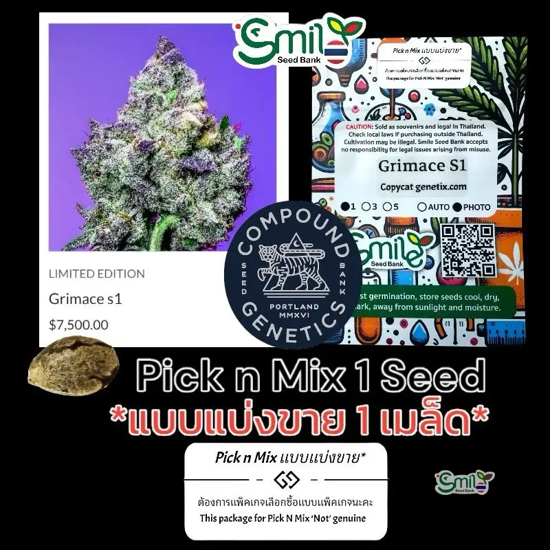 Grimace S1 — 1