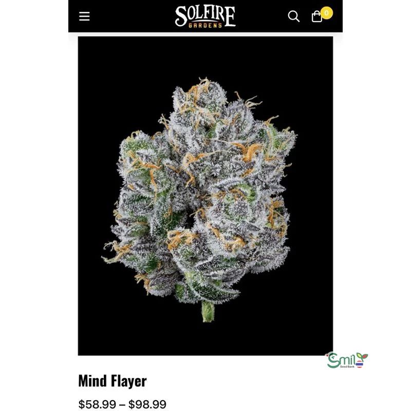 Mind Flayer — 3