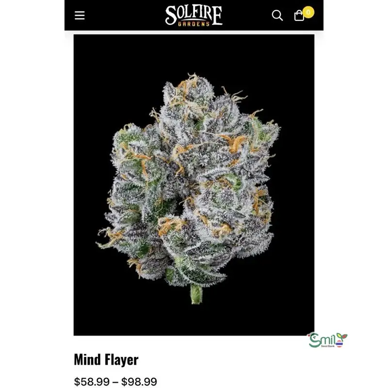 Mind Flayer — 3