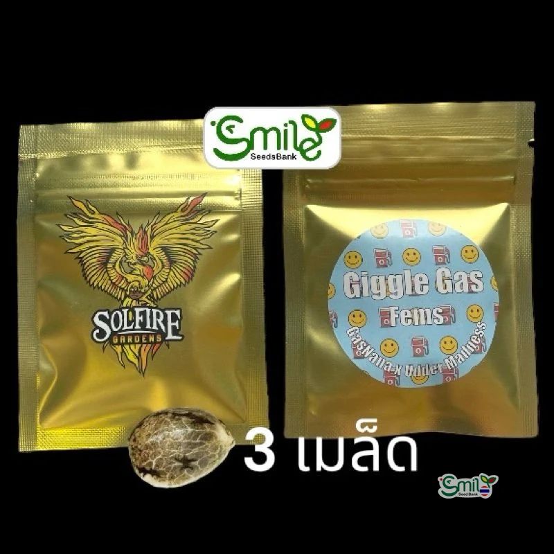 Giggle Gas — 4
