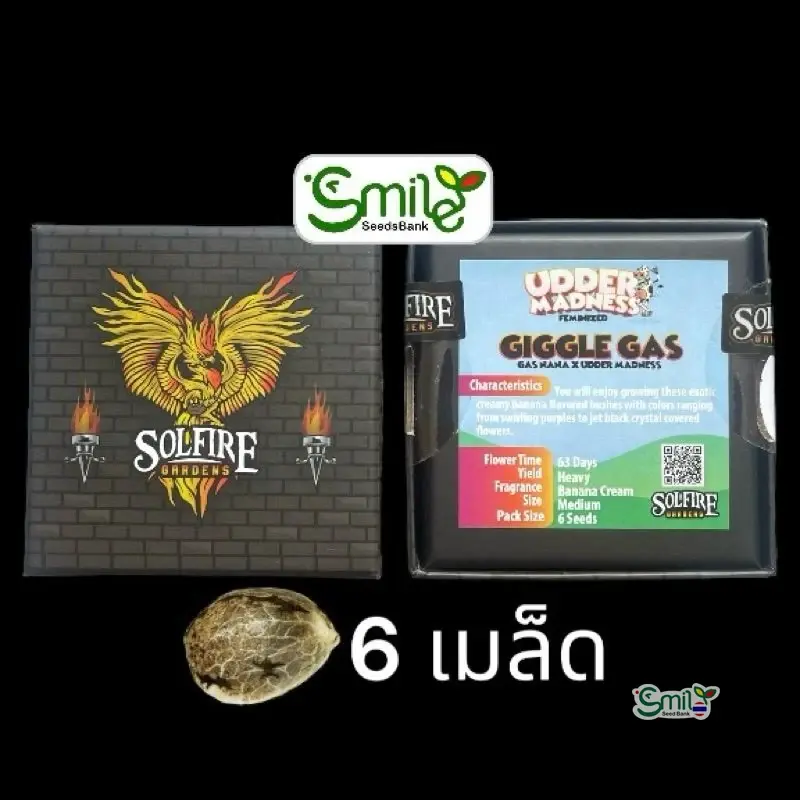 Giggle Gas — 1