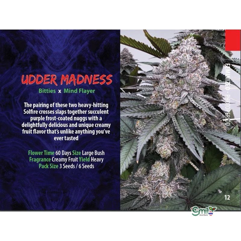 Udder Madness — 2