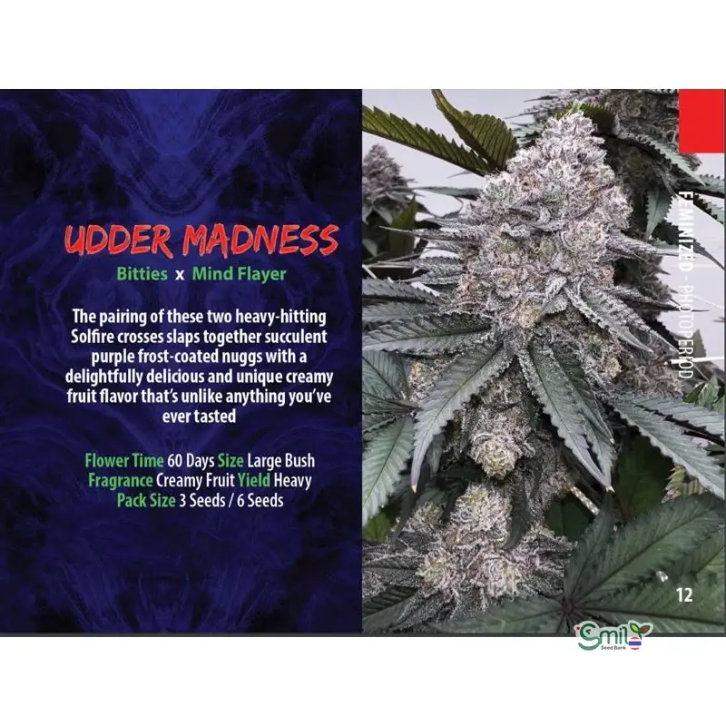 Udder Madness — 2