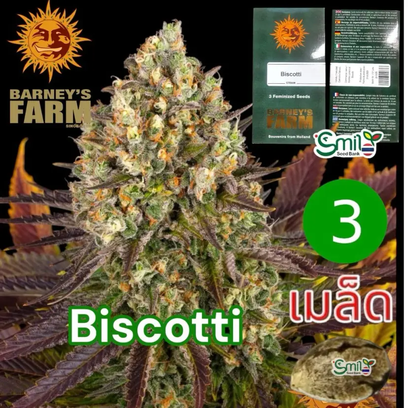 Biscotti — 1