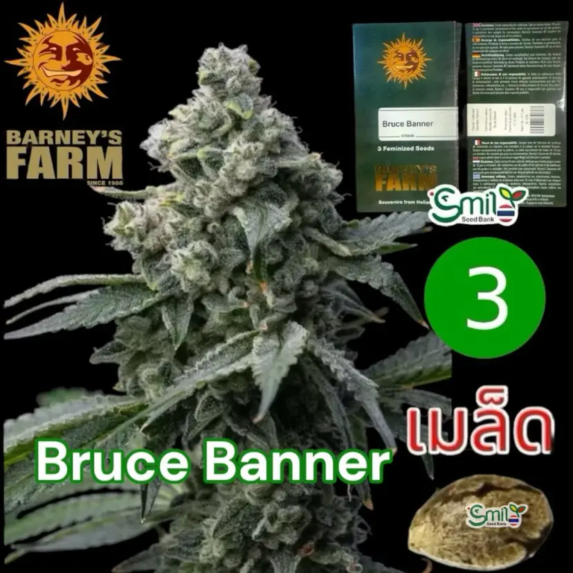 Bruce Banner — 1