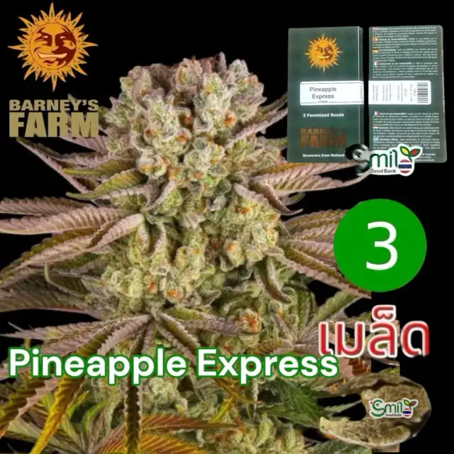 Pineapple Express — 1