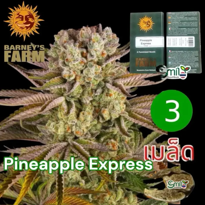 Pineapple Express — 1