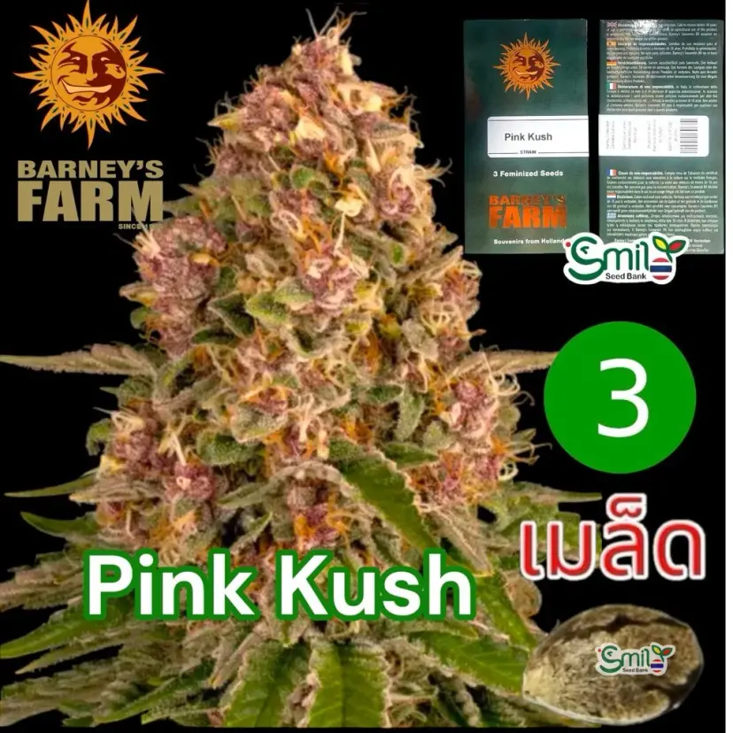 Pink Kush — 1