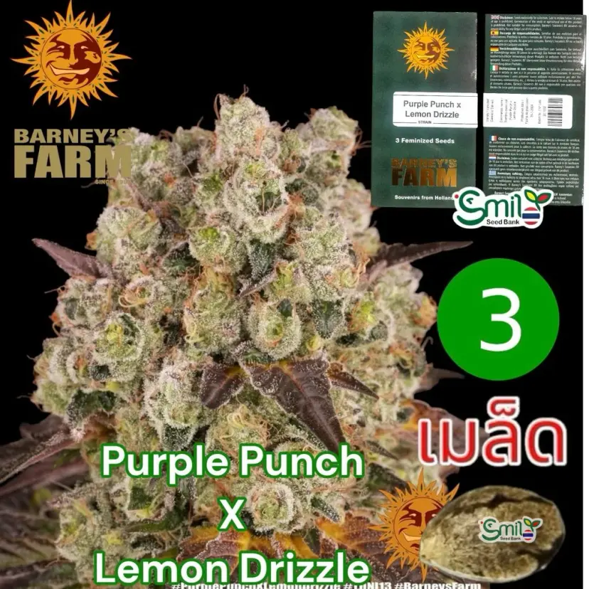 Purple Punch x Lemon Drizzle — 1