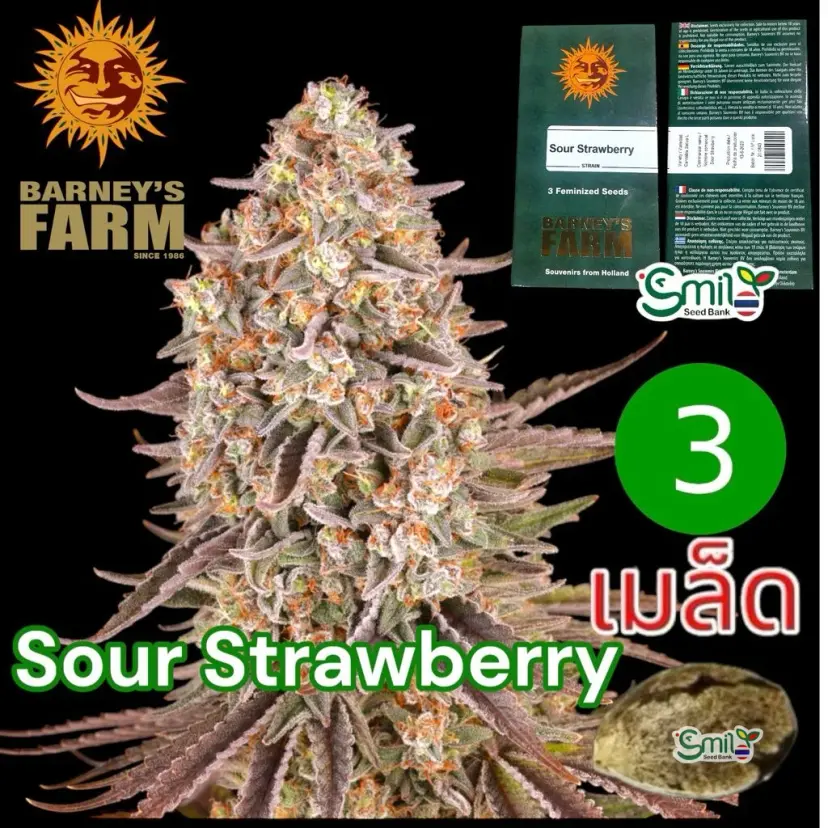Sour Strawberry — 1