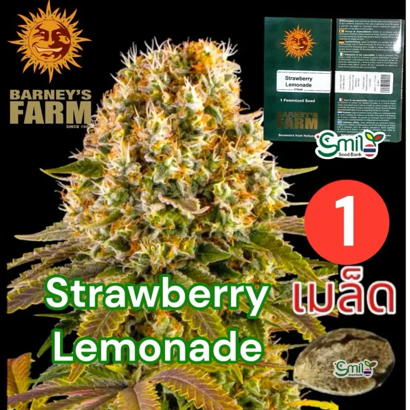 Strawberry Lemonade — 1