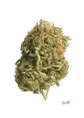 Tiki Truffle