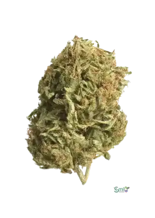 Tiki Truffle