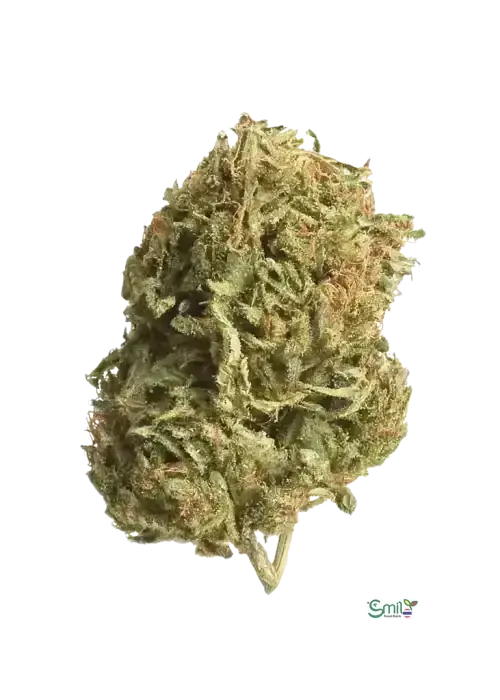 Tiki Truffle — 1