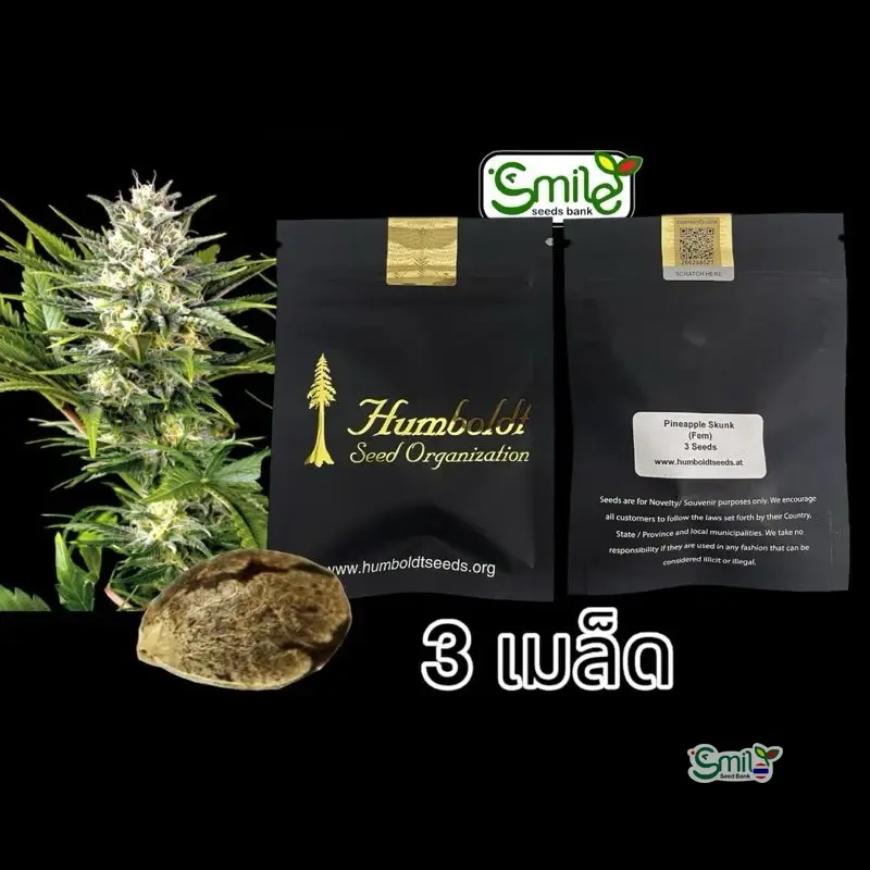 Pineapple Skunk — 1