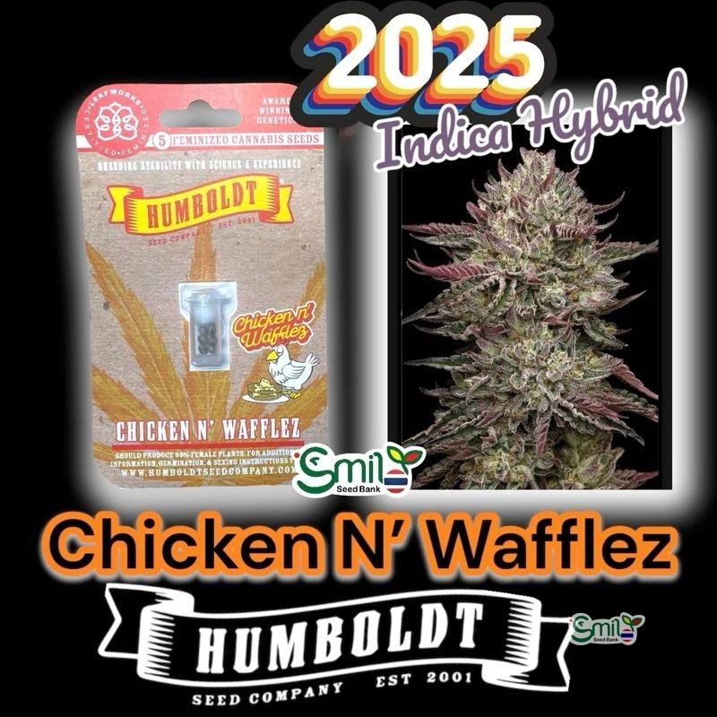 Chicken N' Wafflez — 2