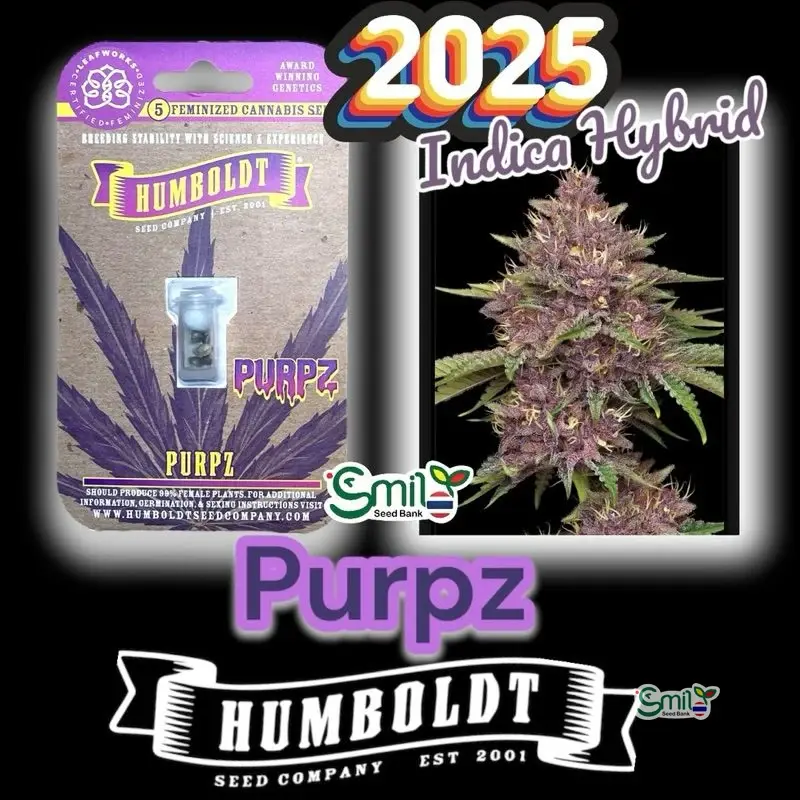 Purpz — 2
