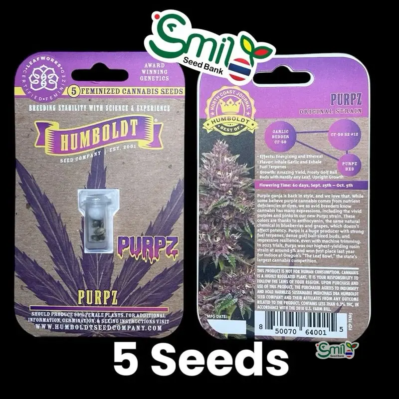 Purpz — 1