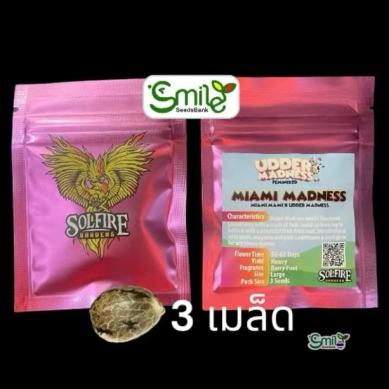 Miami Madness — 1