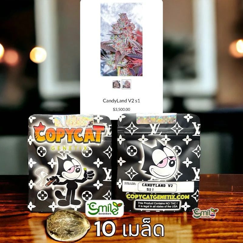 Candy Land V2 S1 — 3
