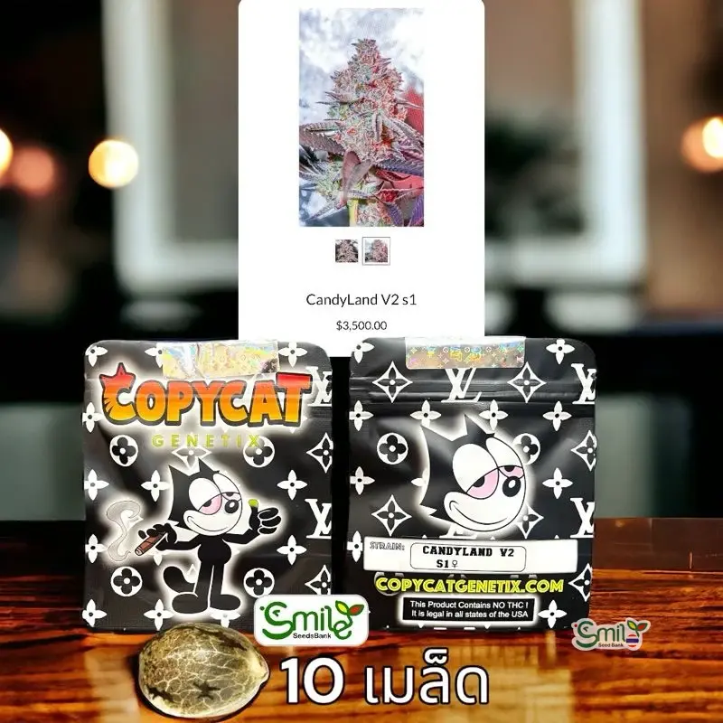Candy Land V2 S1 — 3