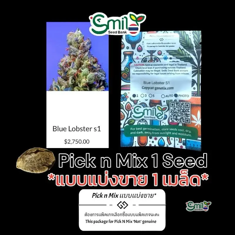 Blue Lobster S1 — 1