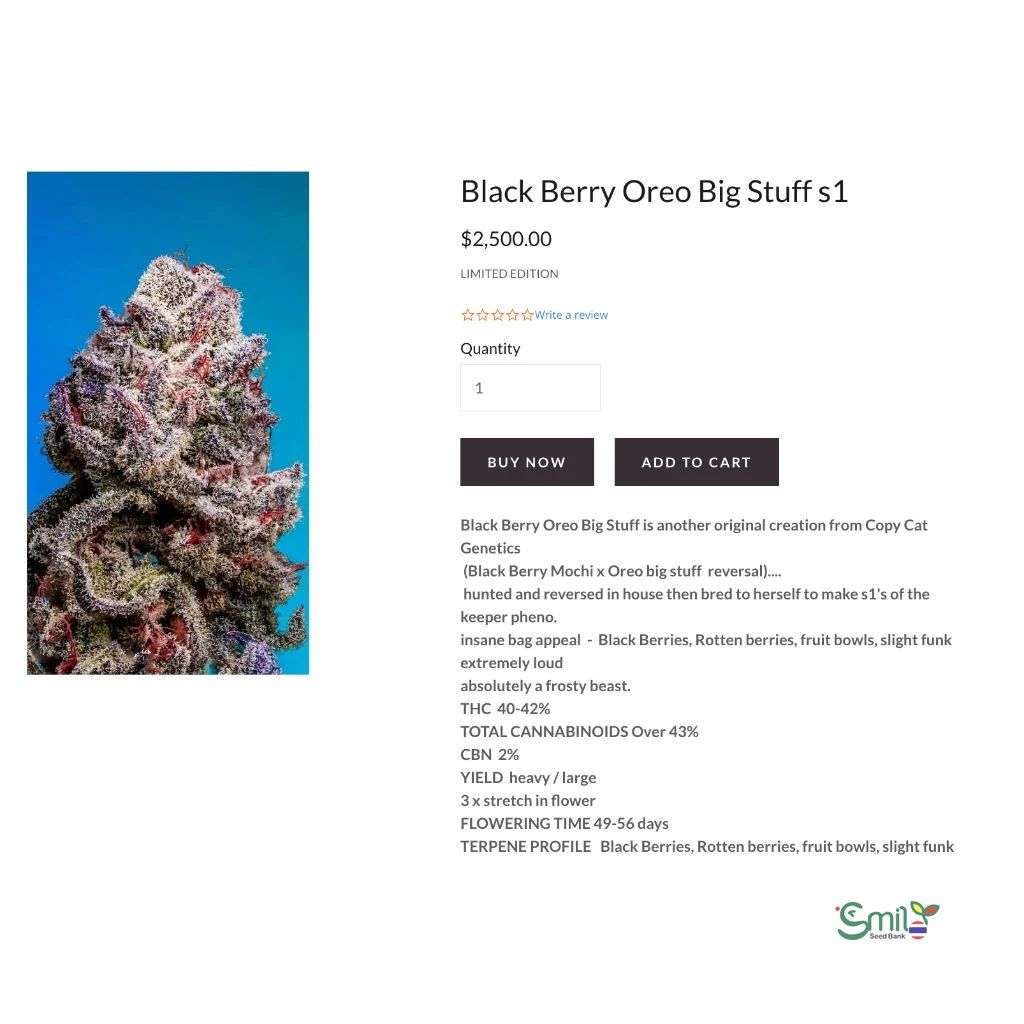 Blackberry Oreo Big Stuff S1 — 2