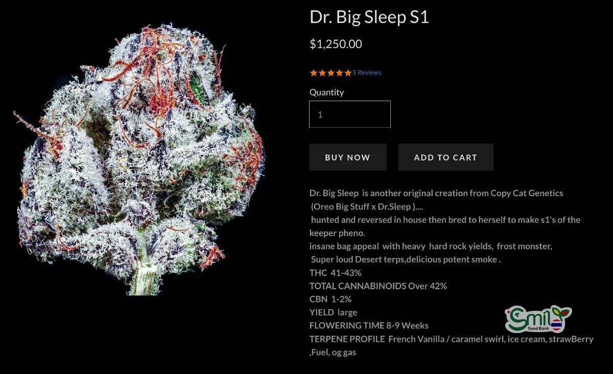 Dr. Big Sleep S1 — 4