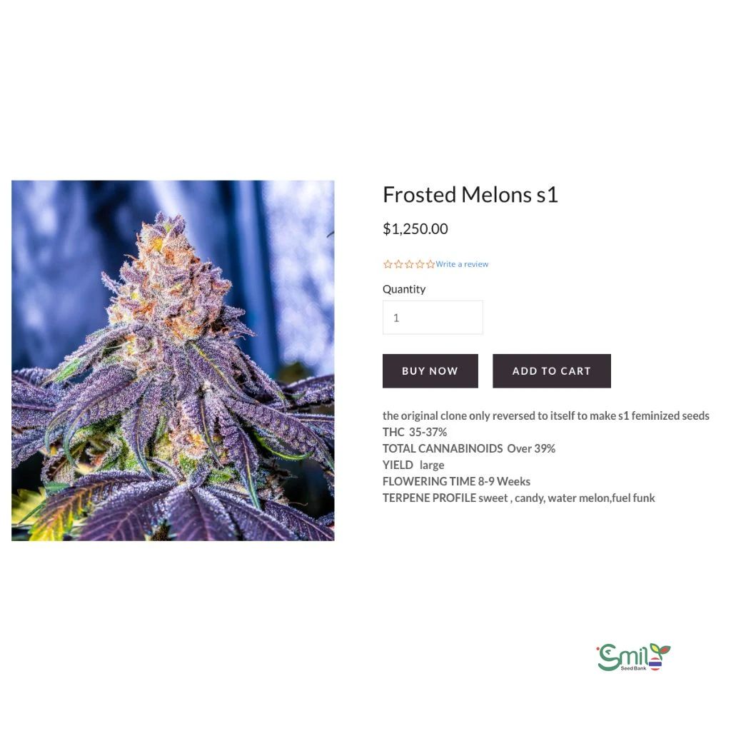 Frosted Melons S1 — 5