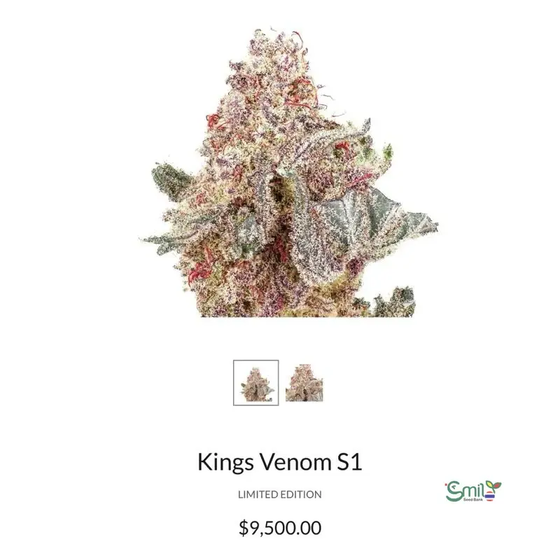 King’s Venom S1 — 3