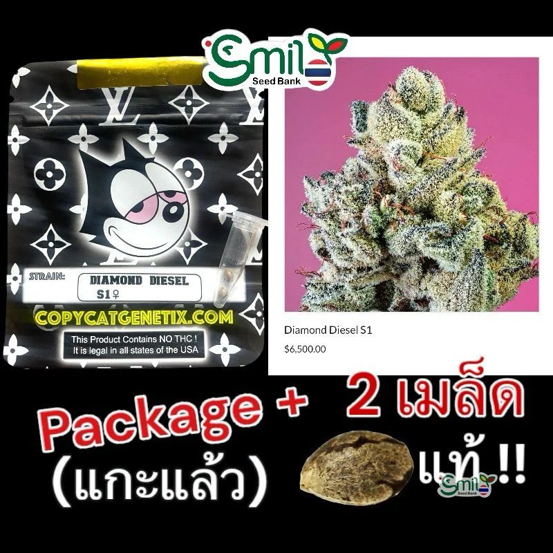 Diamond Diesel S1 — 3
