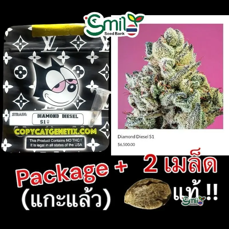 Diamond Diesel S1 — 3