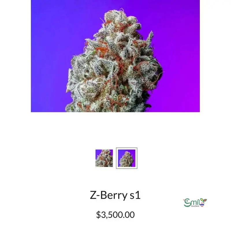 Z-Berry S1 — 3