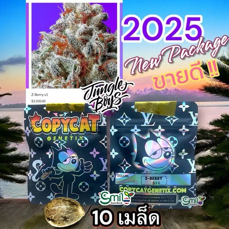 Z-Berry S1 — 5