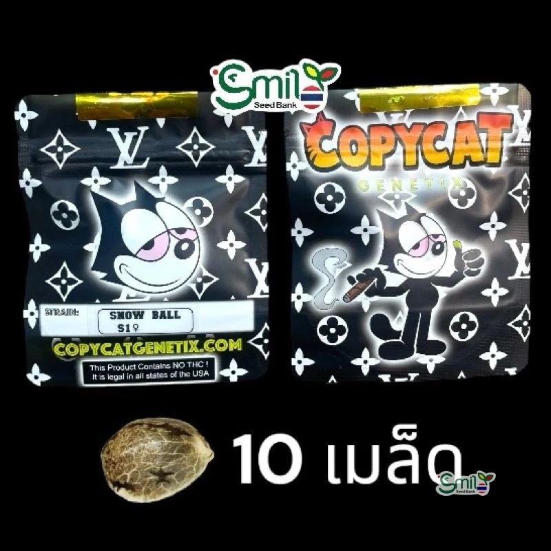 Snow Ball S1 — 4