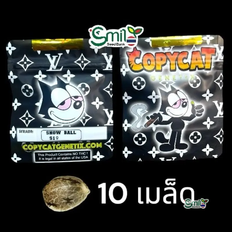 Snow Ball S1 — 4