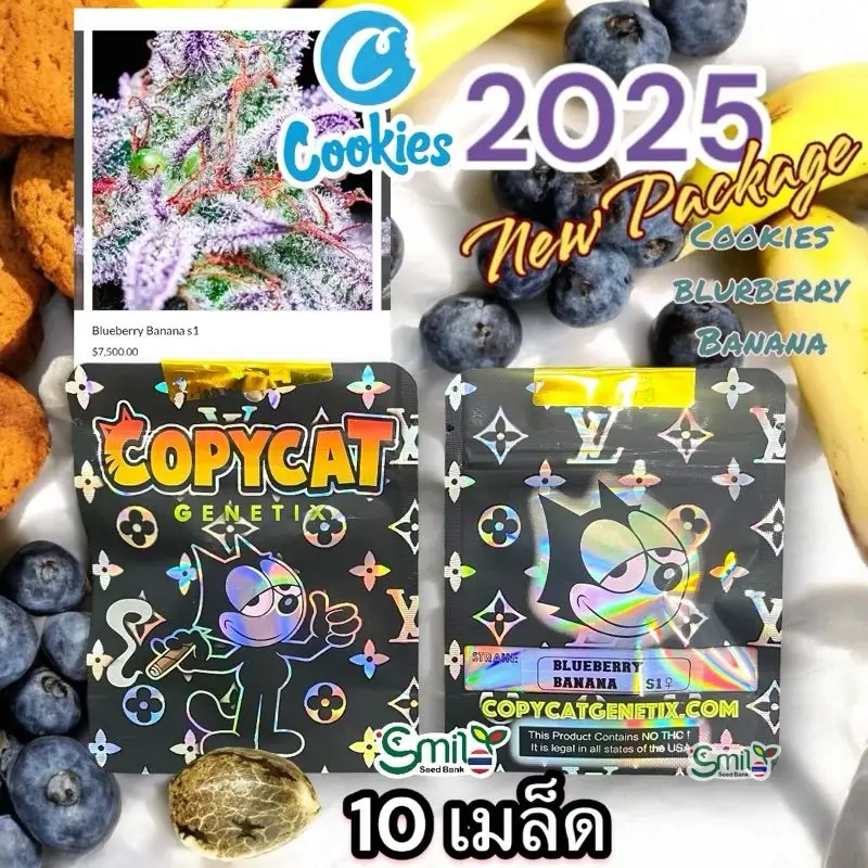 Blueberry Banana S1 — 5