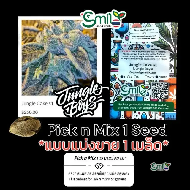 Jungle Cake S1 — 1