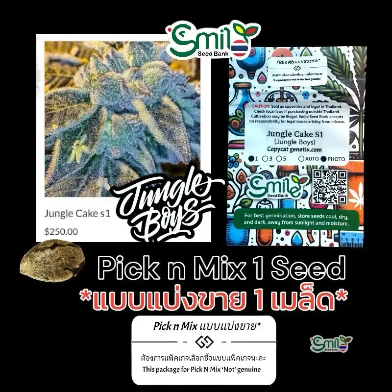 Jungle Cake S1 — 1