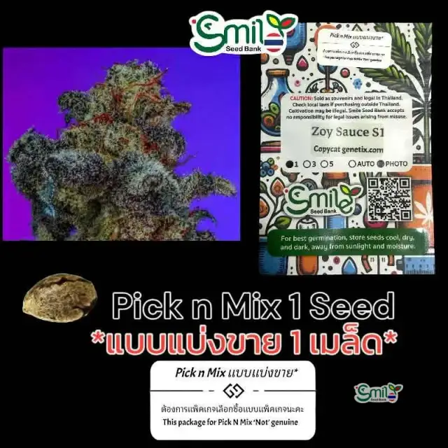 Zoy Sauce S1 — 1