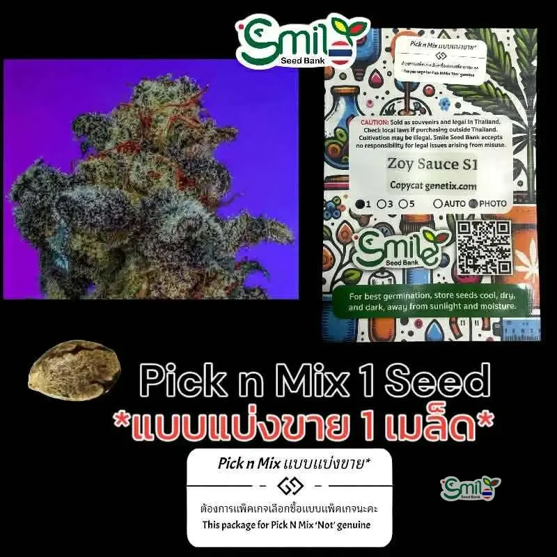Zoy Sauce S1 — 1