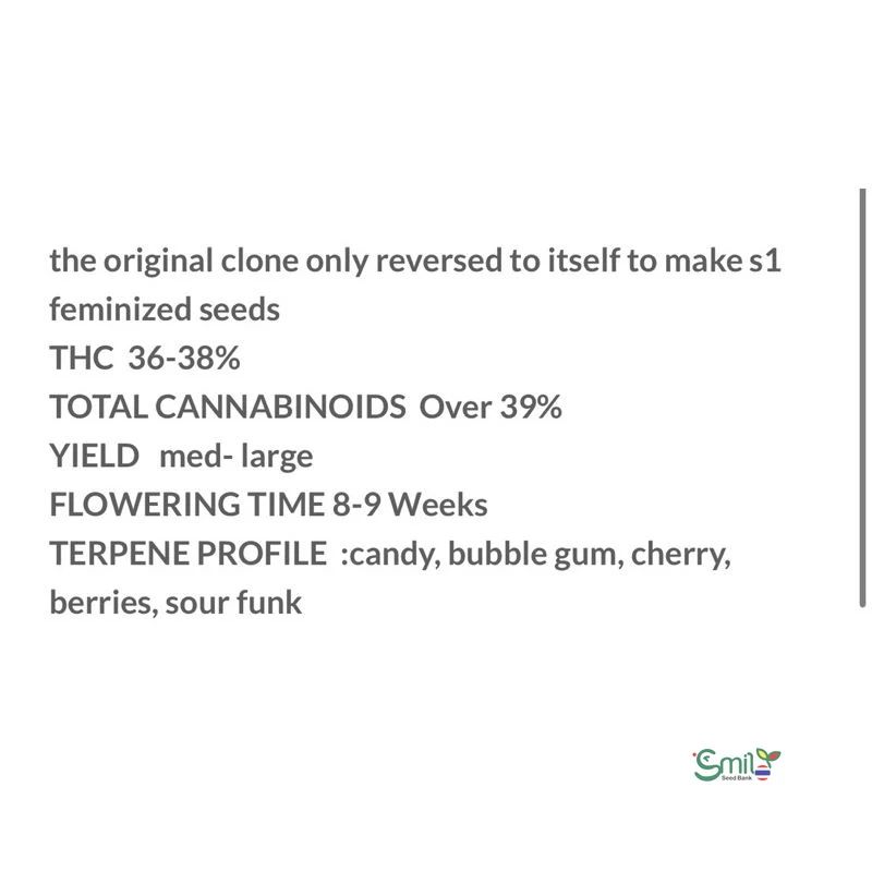 Zkittle Popz S1 — 4