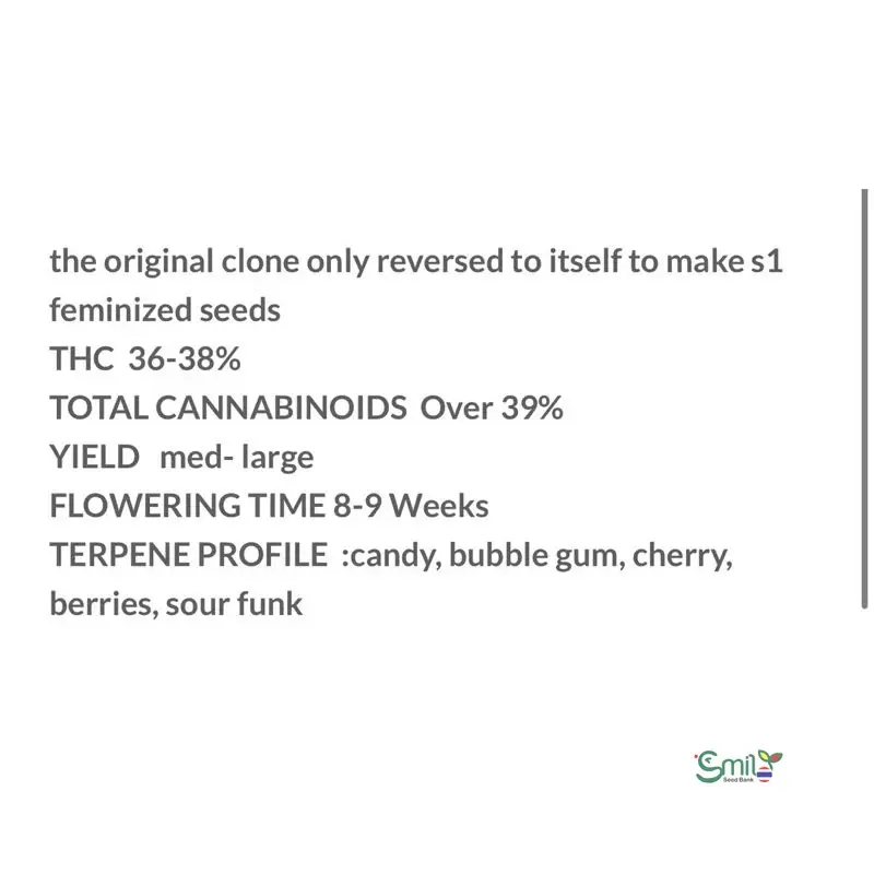 Zkittle Popz S1 — 4