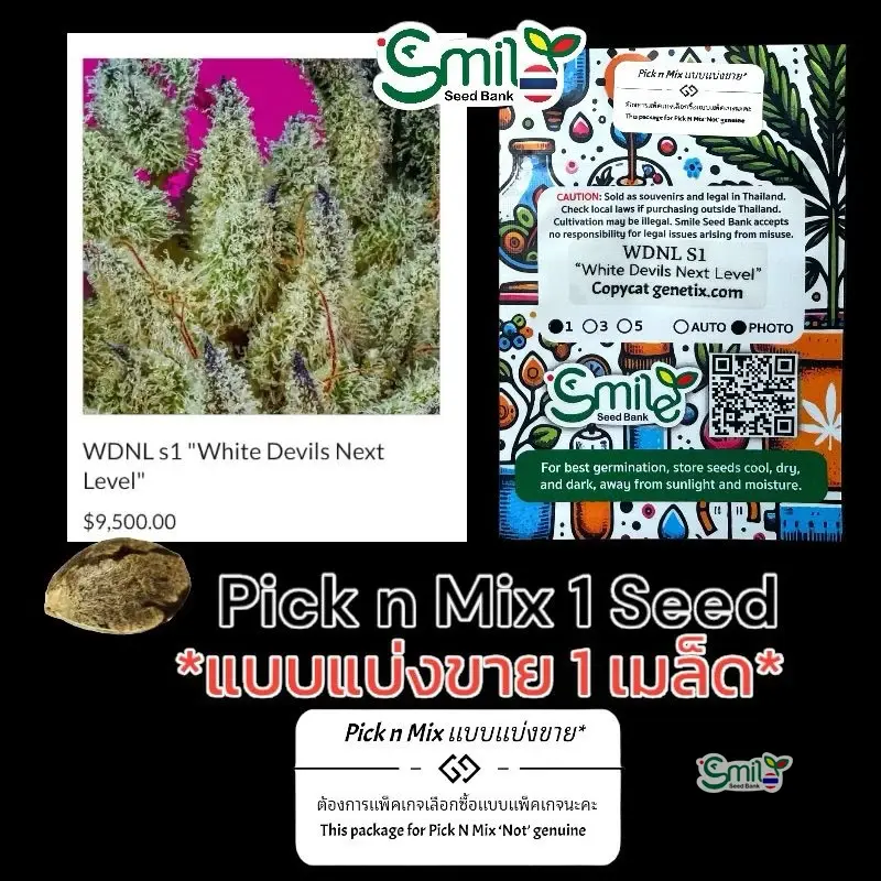 WDNL S1 (White Devils Next Level) — 1