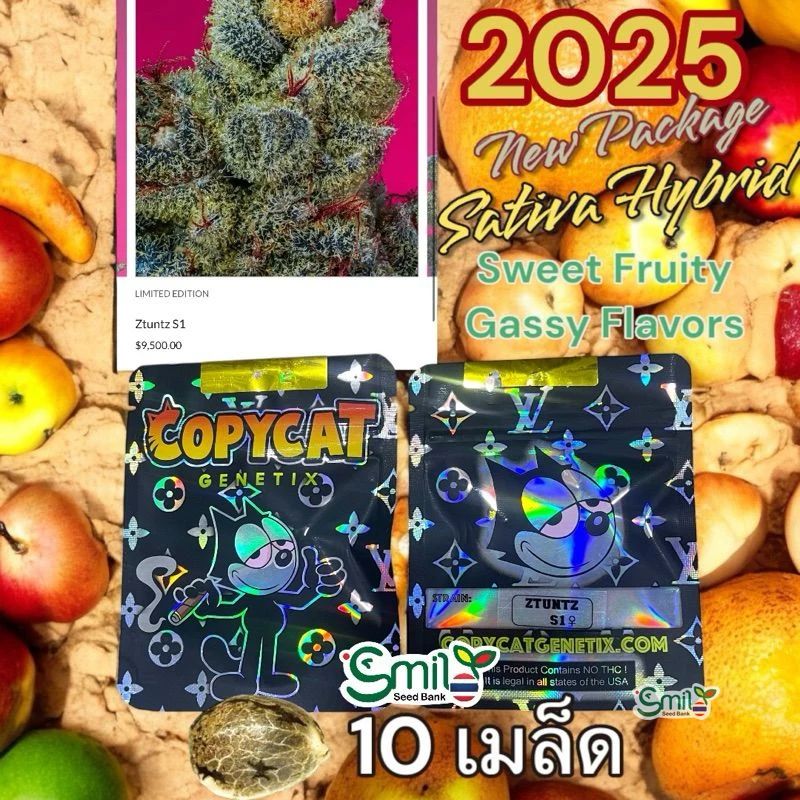 Ztuntz S1 — 5