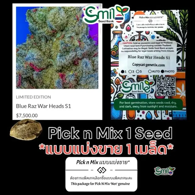 Blue Raz War Heads S1 — 1