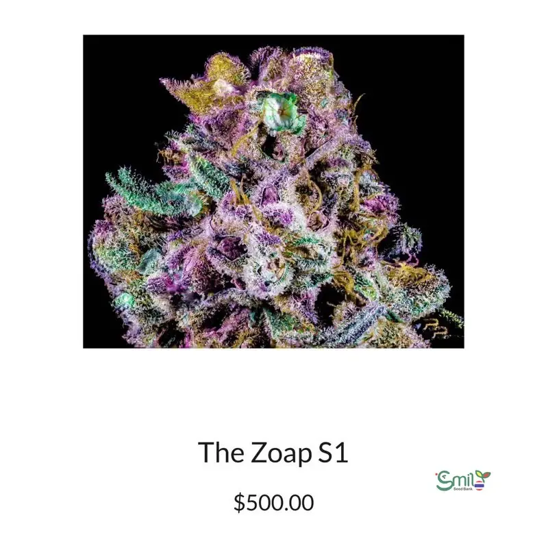 The Zoap S1 — 5