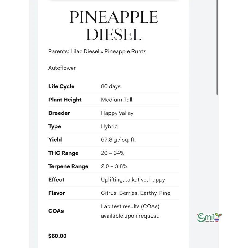 Pineapple Diesel Auto — 5